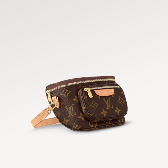 NWT LOUIS VUITTON MINI BUMBAG - Picture 3 of 8
